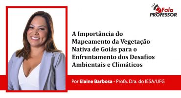 A Importância do Mapeamento da Vegetação Nativa de Goiás para o Enfrentamento dos Desafios Ambientais e Climáticos