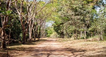 Adufg-Sindicato dá início à abertura das trilhas para visitação da Reserva Particular do Patrimônio Natural da Sede Campestre